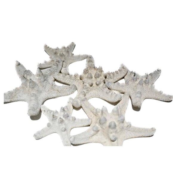 RHINO STARFISH - 5 pack - Picture 1 of 1